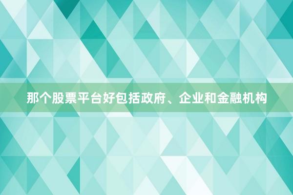 那个股票平台好包括政府、企业和金融机构