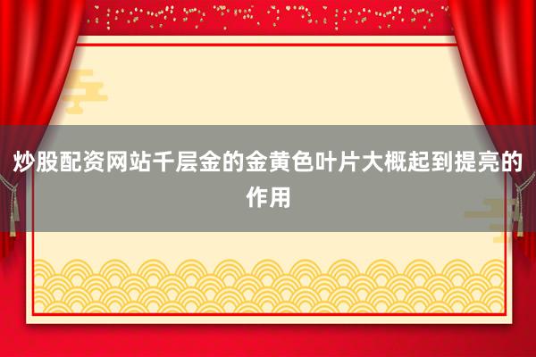 炒股配资网站千层金的金黄色叶片大概起到提亮的作用