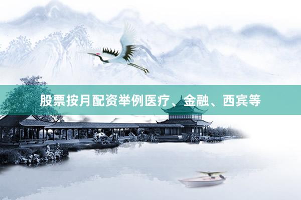 股票按月配资举例医疗、金融、西宾等