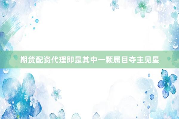 期货配资代理即是其中一颗属目夺主见星