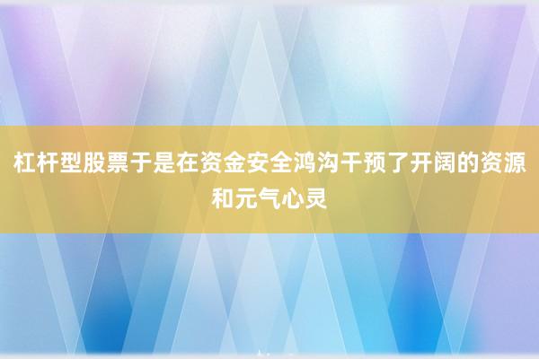 杠杆型股票于是在资金安全鸿沟干预了开阔的资源和元气心灵