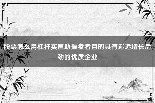股票怎么用杠杆买匡助操盘者目的具有遥远增长后劲的优质企业