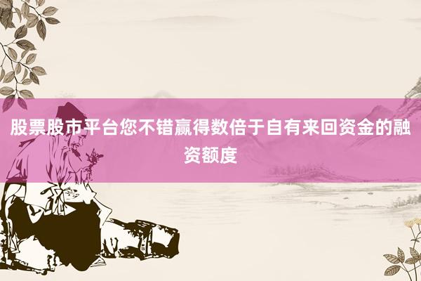 股票股市平台您不错赢得数倍于自有来回资金的融资额度