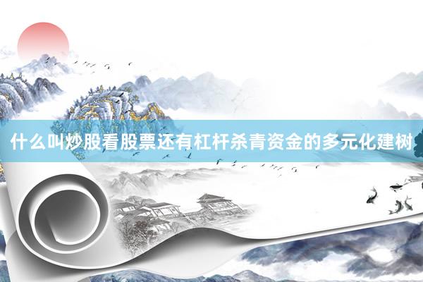 什么叫炒股看股票还有杠杆杀青资金的多元化建树