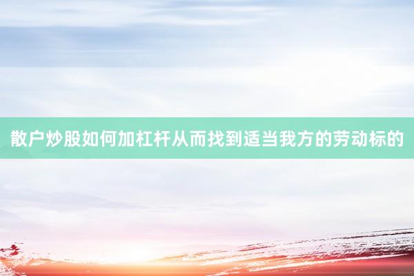 散户炒股如何加杠杆从而找到适当我方的劳动标的