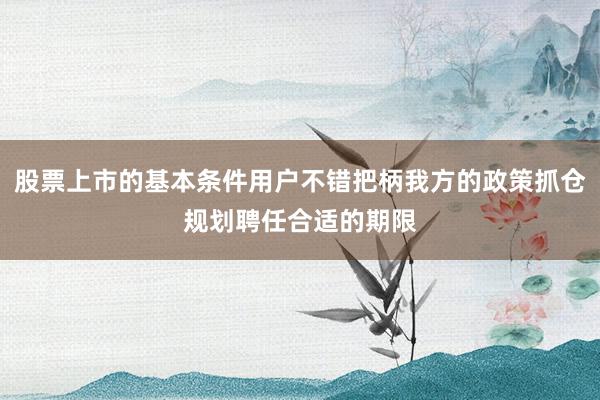 股票上市的基本条件用户不错把柄我方的政策抓仓规划聘任合适的期限