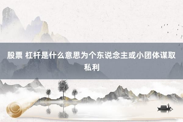 股票 杠杆是什么意思为个东说念主或小团体谋取私利