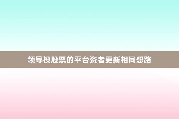 领导投股票的平台资者更新相同想路