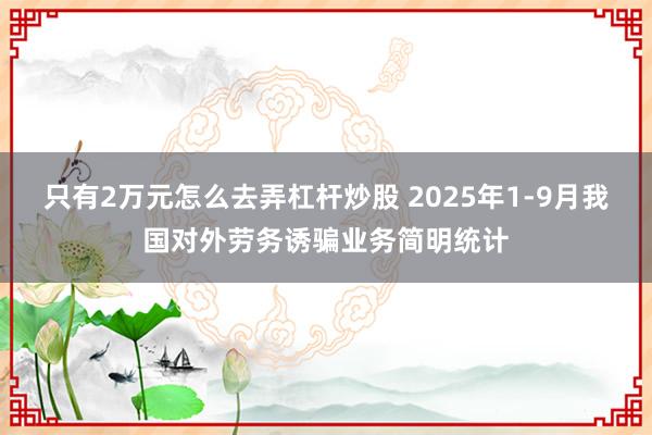 只有2万元怎么去弄杠杆炒股 2025年1-9月我国对外劳务诱骗业务简明统计